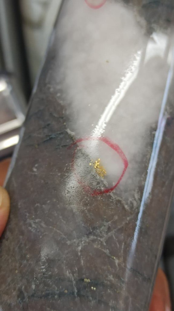Drill core in sleeve with visible gold circled, Nigeria