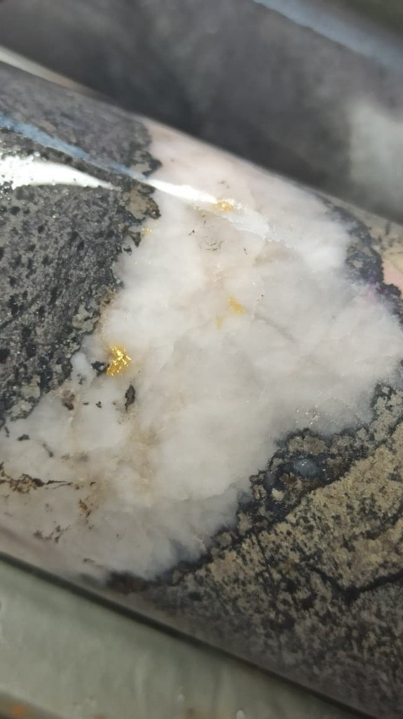 Drill core with quartz vein and visible gold, Nigeria