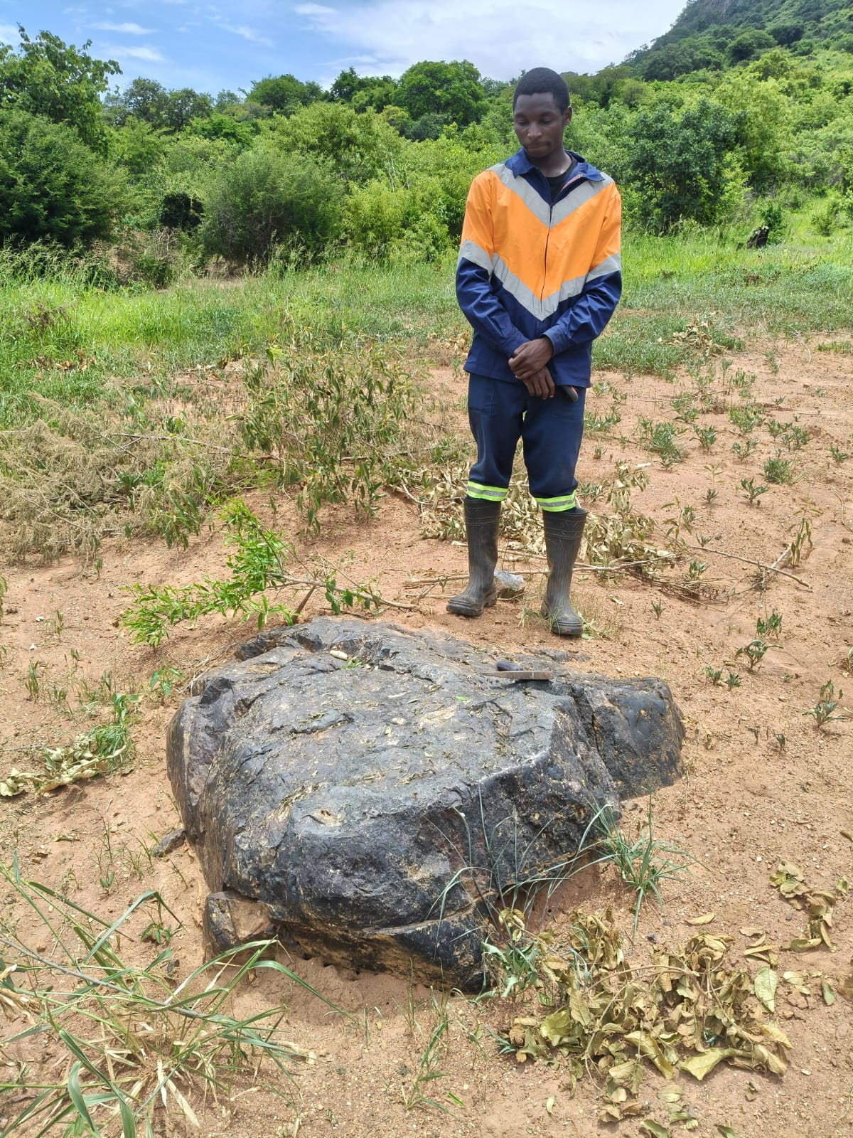 International field geologist with rock sample