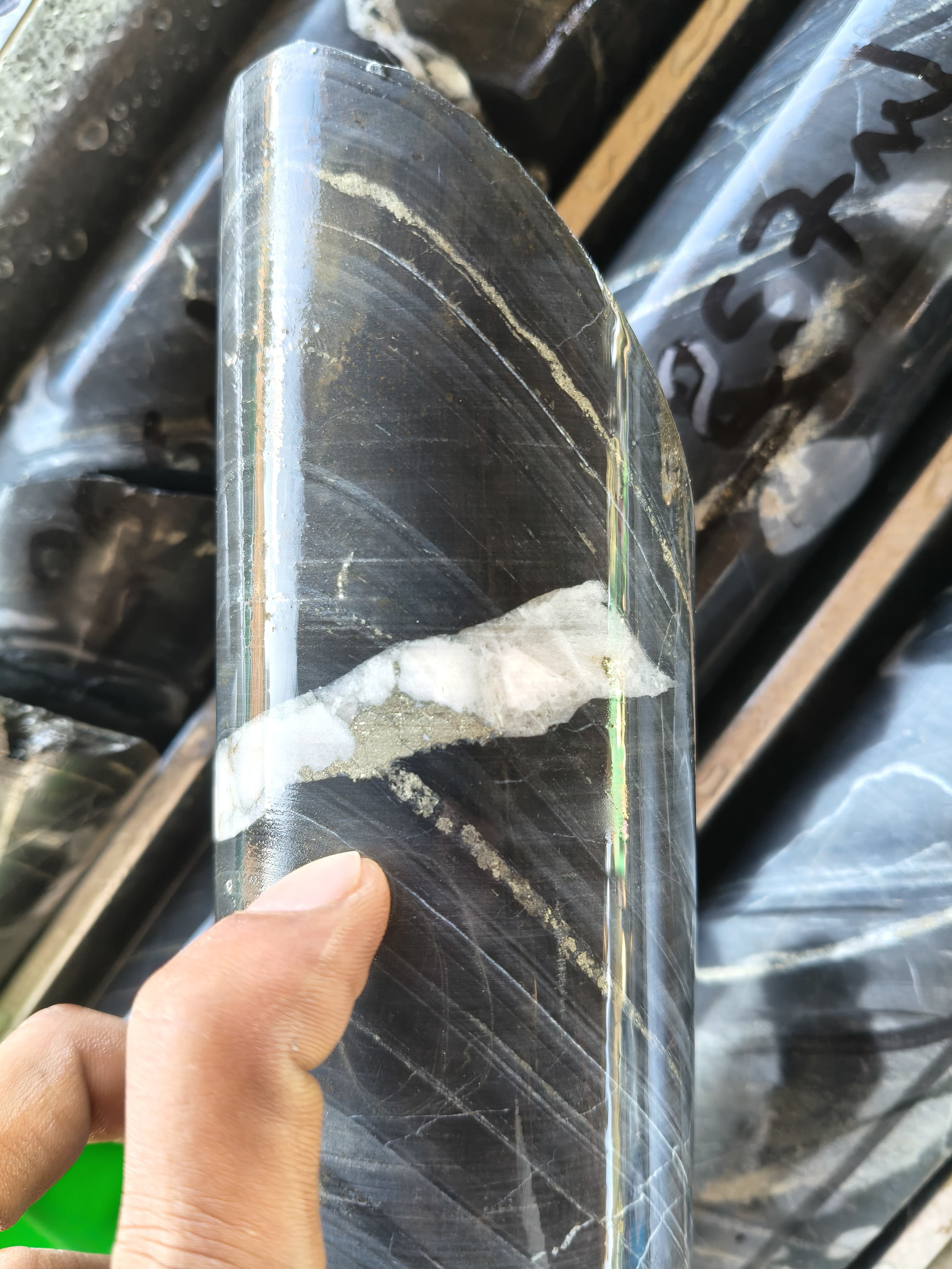 Mineral specimens from field collection