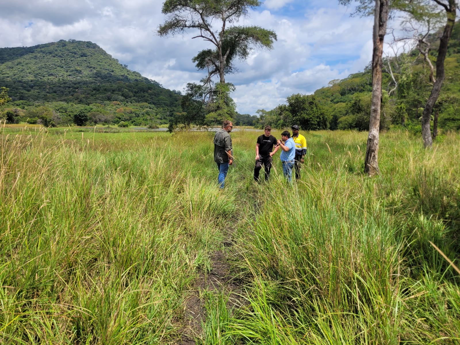 Consultants reviewing site conditions in the field