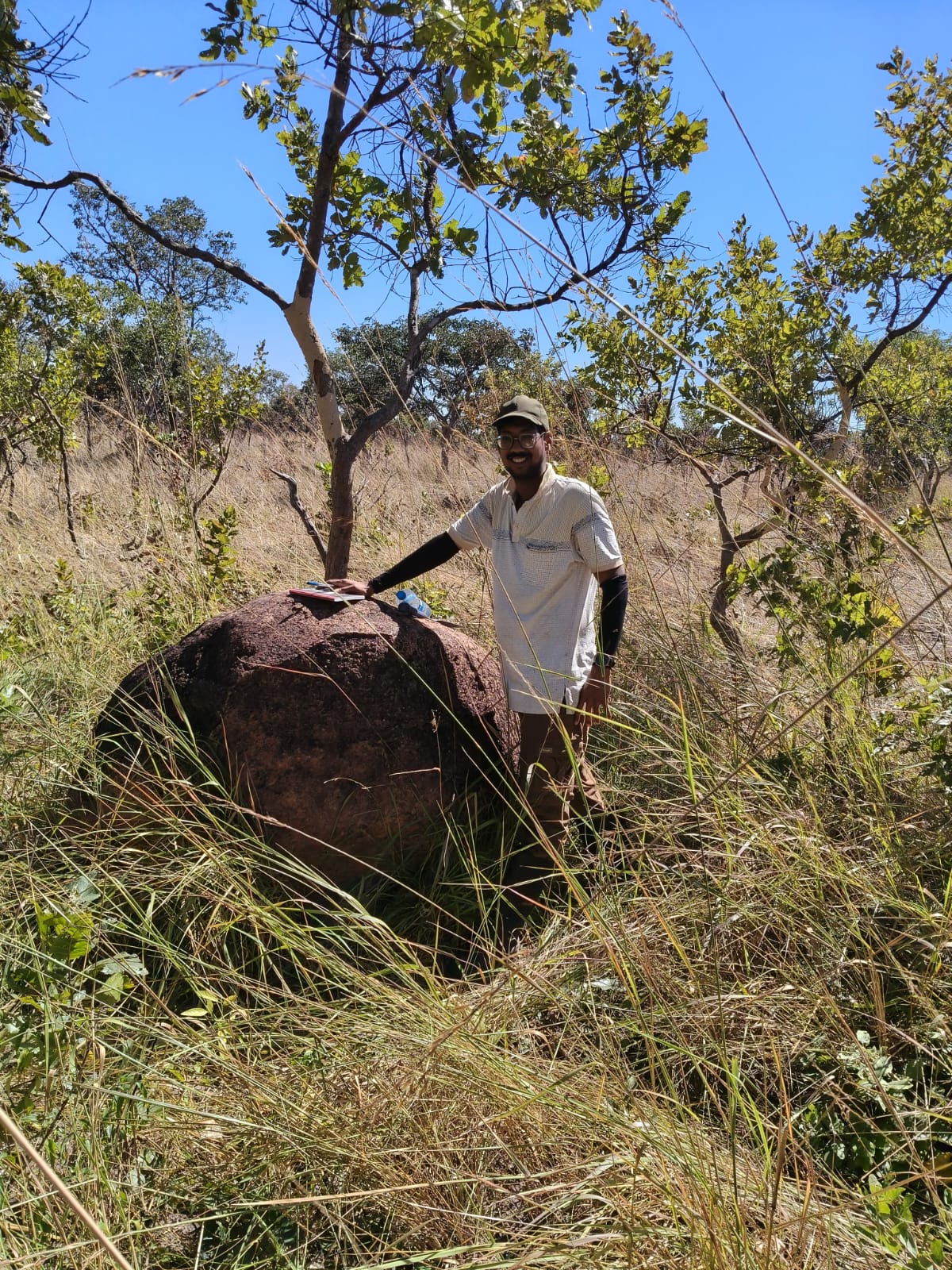 Field professional surveying
