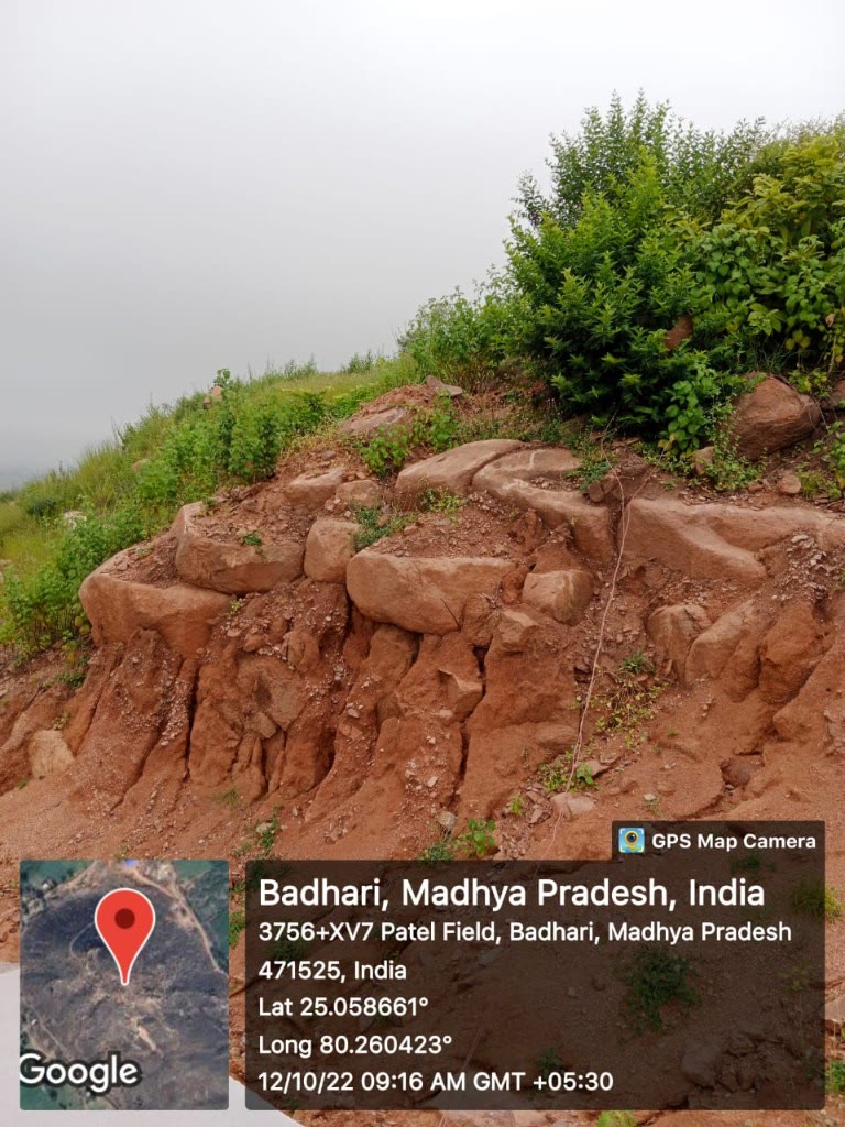 GPS-tagged mineral ground at Badhari, Madhya Pradesh