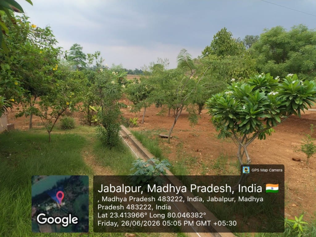 GPS-tagged field site near Jabalpur, Madhya Pradesh 483222
